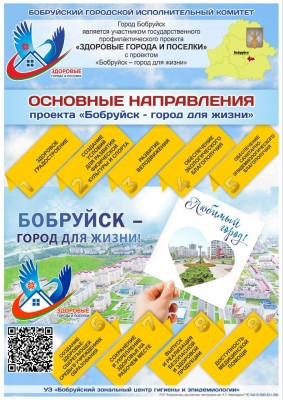 Основные направления проекта "Бобруйск - город для жизни" - фото