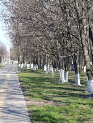 Благоустройство прилегающей территории продолжается! Сегодня произведена побелка деревьев в сквере РТИ по ул.Минской. - фото