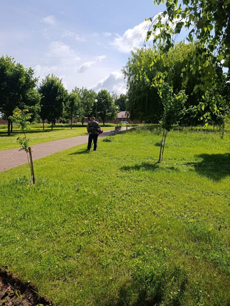 Работники ОАО"Беларусьрезинотехника" продолжают покос травы на закреплённых воинских захоронениях., фото