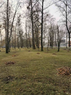 Уборка прилегающей территории ОАО "Беларусьрезинотехника". - фото