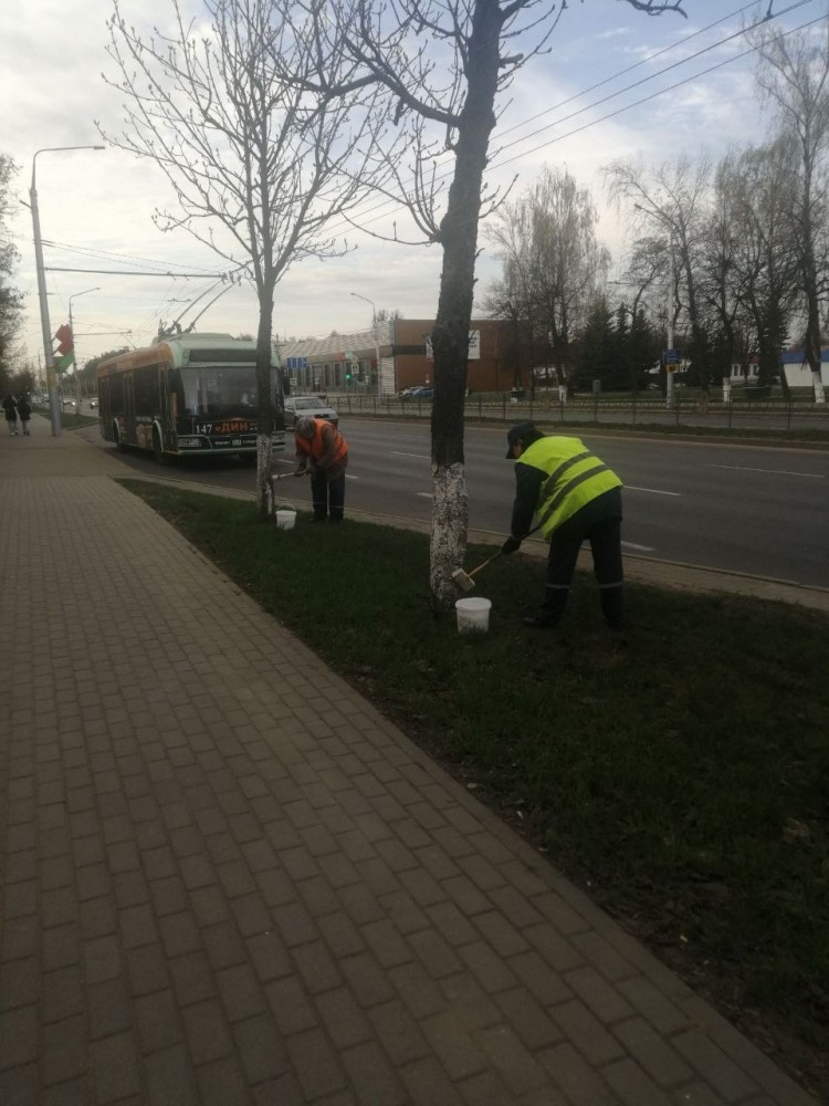 Благоустройство прилегающей территории силами сотрудников ОАО "Беларусьрезинотехника"., фото