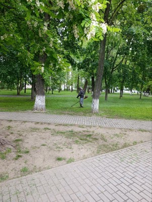 В рамках проведения санитарного дня и месячника по наведению порядка на земле и благоустройству территорий, работники ОАО "Беларусьрезинотехника" осуществляют покос травы и сорной растительности на ул.Минской. - фото