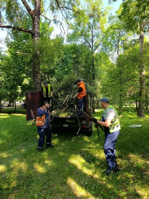 Работники ОАО "Беларусьрезинотехника" устраняют последствия урагана на прилегающей территории (сквера РТИ). - фото